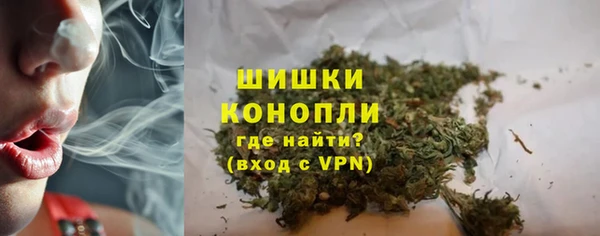 шишки Арсеньев