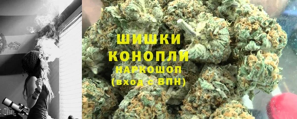 шишки Арсеньев