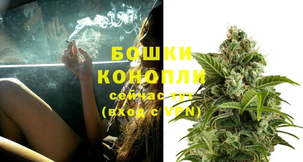 шишки Арсеньев