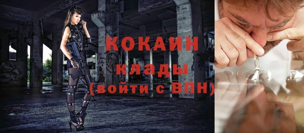 шишки Арсеньев