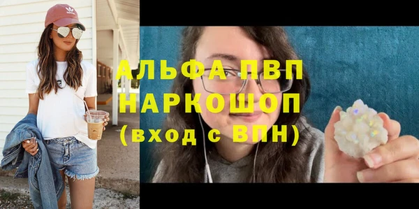 шишки Арсеньев