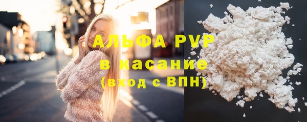 шишки Арсеньев