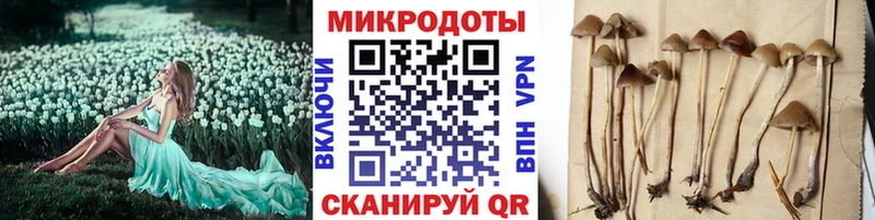 Псилоцибиновые грибы мицелий  KRAKEN ссылка  shop клад  Верещагино 